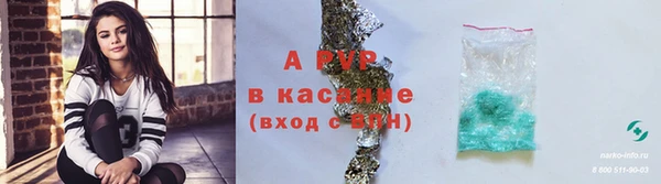 стафф Армянск